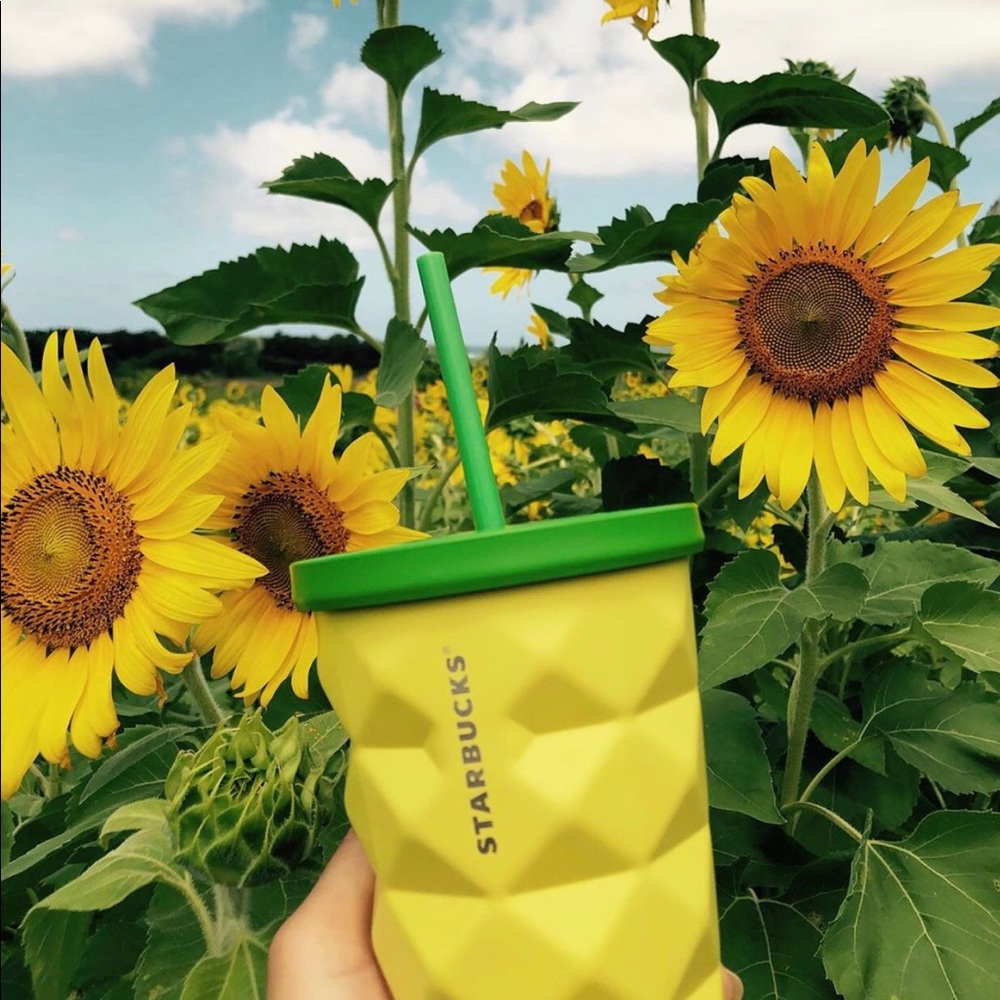 Starbucks Pineapple Tumbler